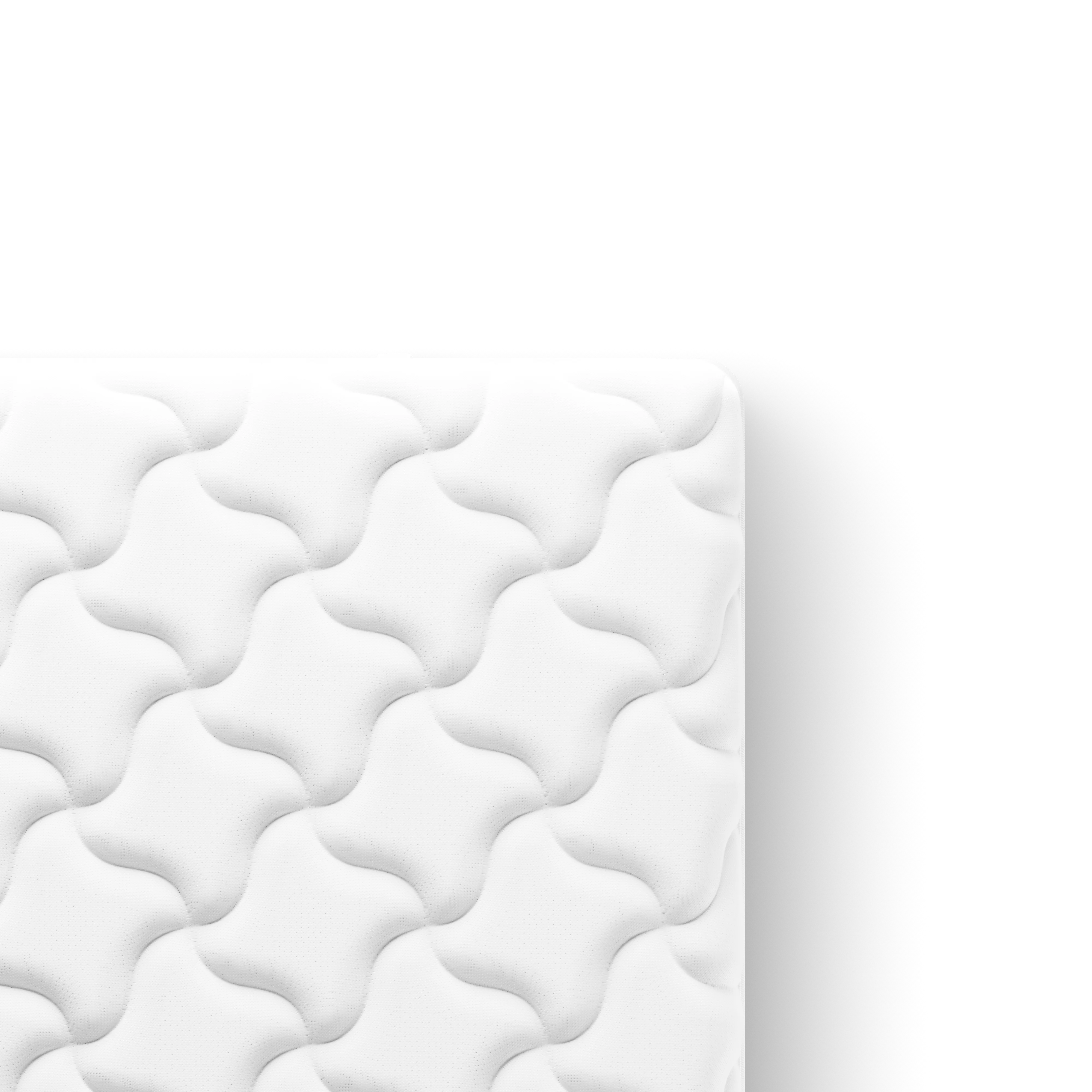 Image du produit 13